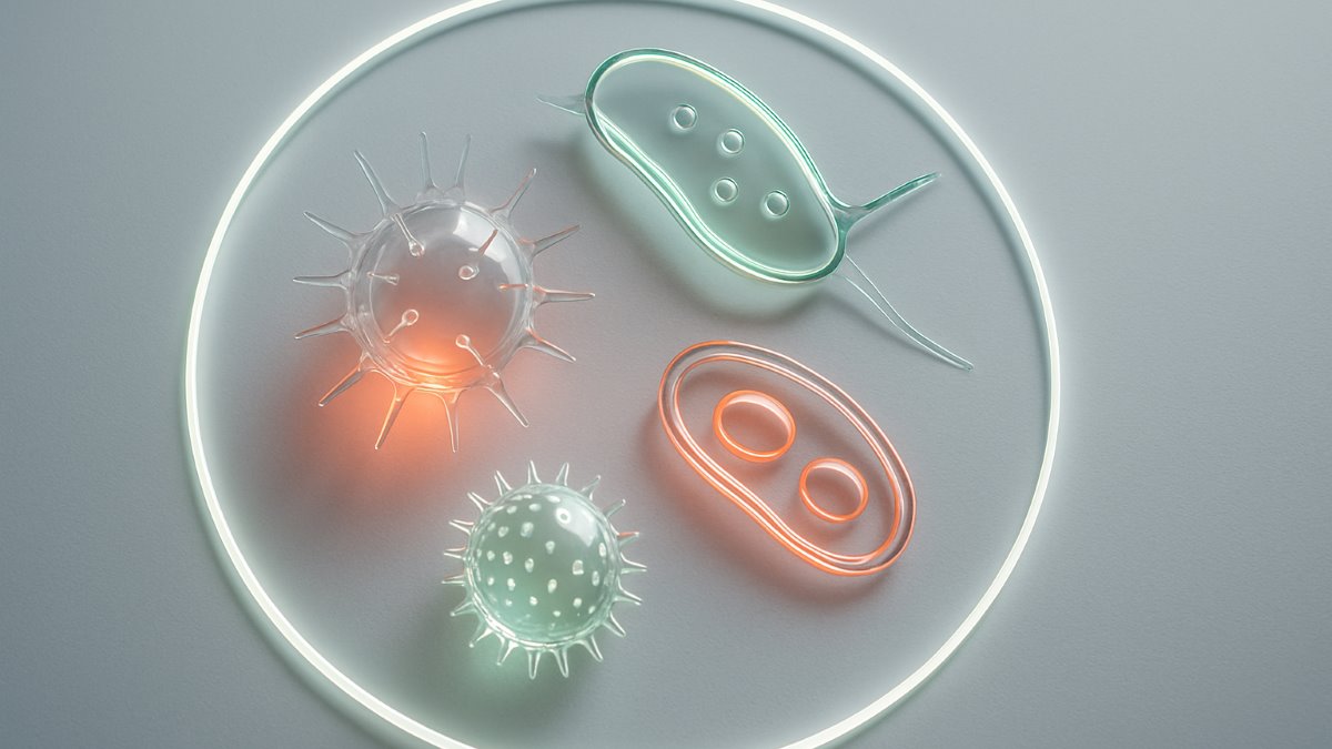 Evaluation of Microscopic Method and Rapid Diagnostic Test Compared to Polymerase Chain Reaction Test in the Detection of Plasmodium Vivax Parasite in Suspected Malaria Cases; [رزیابی روشهای تشخیص میکروسکوپی و تست تشخیص سریع در مقایسه با تست Pcr در تشخیص پ پالسمودیوم ویواکس در افراد مشکوک به ماالریا]