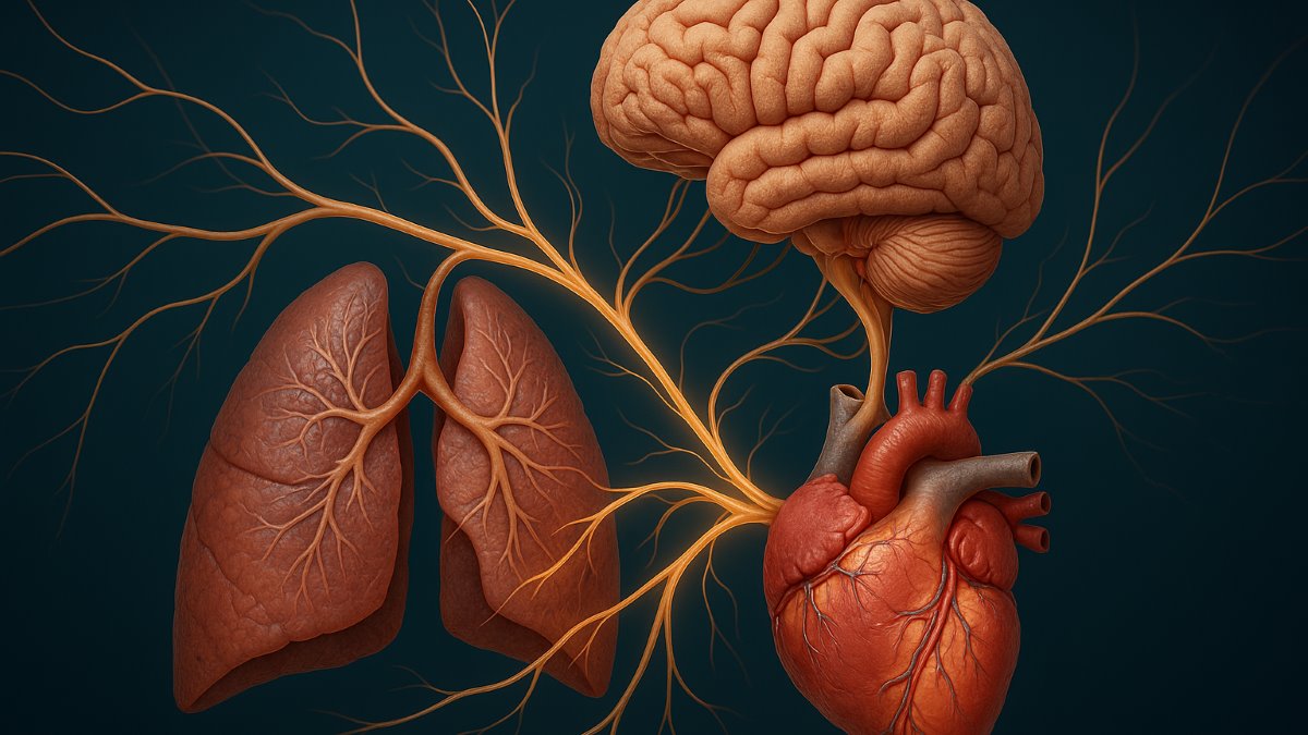 The Impact of Psychosomatic Factors on Treatment Adherence of Acute Myocardial Infarction Survivors; a Two‑Year Follow‑Up Study