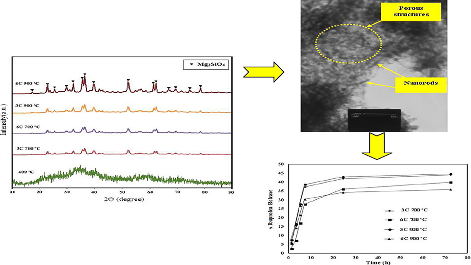 Surfactant-Assisted Sol-Gel Synthesis of Forsterite Nanoparticles As a Novel Drug Delivery System
