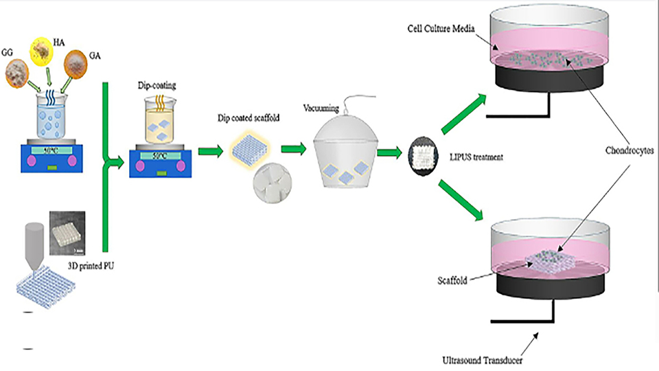 Effects of Low-Intensity Pulsed Ultrasound Stimulation on Cell Seeded 3D Hybrid Scaffold As a Novel Strategy for Meniscus Regeneration: An in Vitro Study