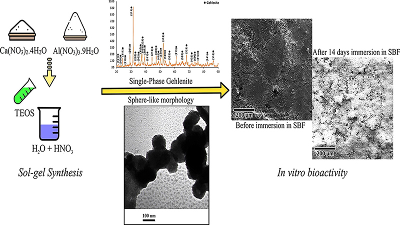 Gehlenite Nanobioceramic: Sol-Gel Synthesis, Characterization, and in Vitro Assessment of Its Bioactivity