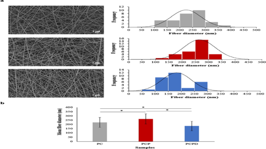 Novel Electrospun Polyvinyl Alcohol/Chitosan/Polycaprolactone-Diltiazem Hydrochloride Nanocomposite Membranes for Wound Dressing Applications