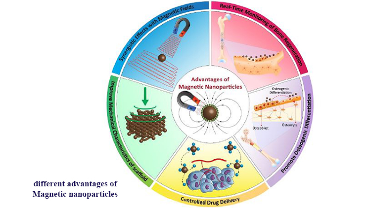 A New Path in Bone Tissue Engineering: Polymer-Based 3D-Printed Magnetic Scaffolds (A Comprehensive Review of in Vitro and in Vivo Studies)