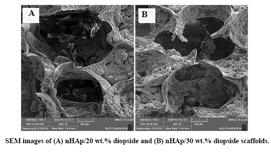 Natural Hydroxyapatite/Diopside Nanocomposite Scaffold for Bone Tissue Engineering Applications: Physical, Mechanical, Bioactivity and Biodegradation Evaluation