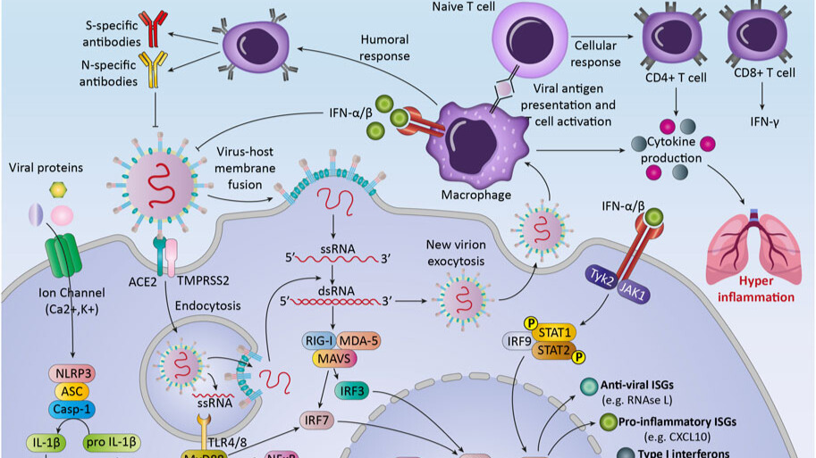Cancer Occurrence As the Upcoming Complications of Covid-19