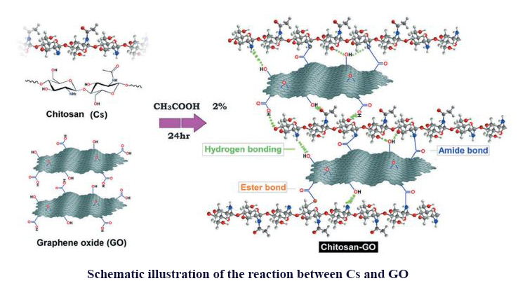 Evaluation of Physical, Mechanical, and Biodegradation of Chitosan/Graphene Oxide Composite As Bone Substitutes