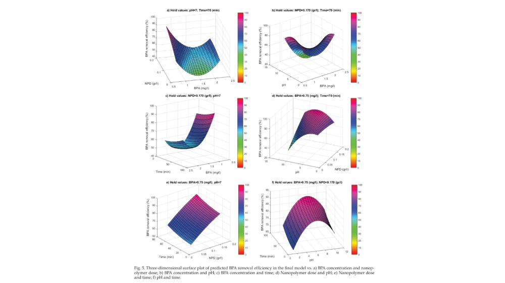 Application of Catalytic Nanopolymers for the Removal of Bisphenol a From Aqueous Solutions: Assessed by Three Statistical Modeling Strategies