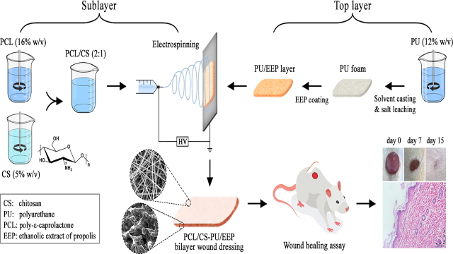 An in Vitro and in Vivo Study of Pcl/Chitosan Electrospun Mat on Polyurethane/Propolis Foam As a Bilayer Wound Dressing