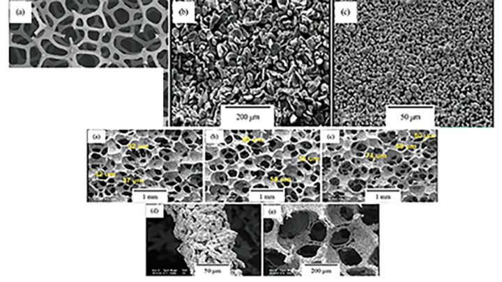 Fabrication of Porous Mg-Zn Scaffold Through Modified Replica Method for Bone Tissue Engineering