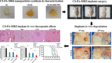 Biodegradable and Biocompatible Subcutaneous Implants Consisted of Ph-Sensitive Mebendazole-Loaded/Folic Acid-Targeted Chitosan Nanoparticles for Murine Triple-Negative Breast Cancer Treatment