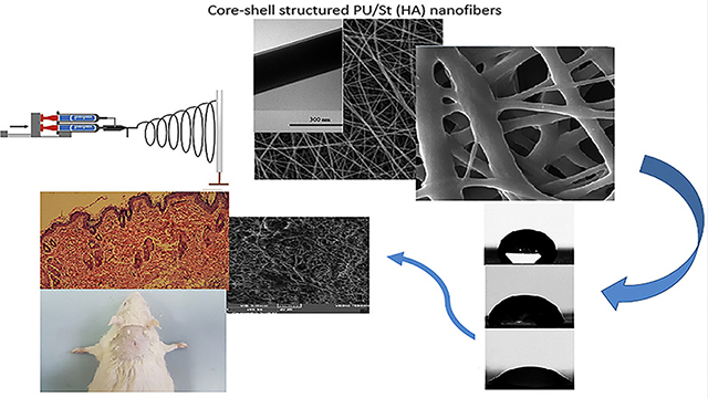 Potential of Novel Electrospun Core-Shell Structured Polyurethane/Starch (Hyaluronic Acid) Nanofibers for Skin Tissue Engineering: In Vitro and in Vivo Evaluation