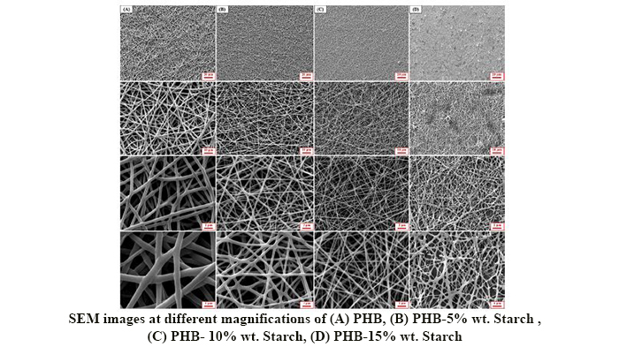Evaluation of the Effects of Starch on Polyhydroxybutyrate Electrospun Scaffolds for Bone Tissue Engineering Applications