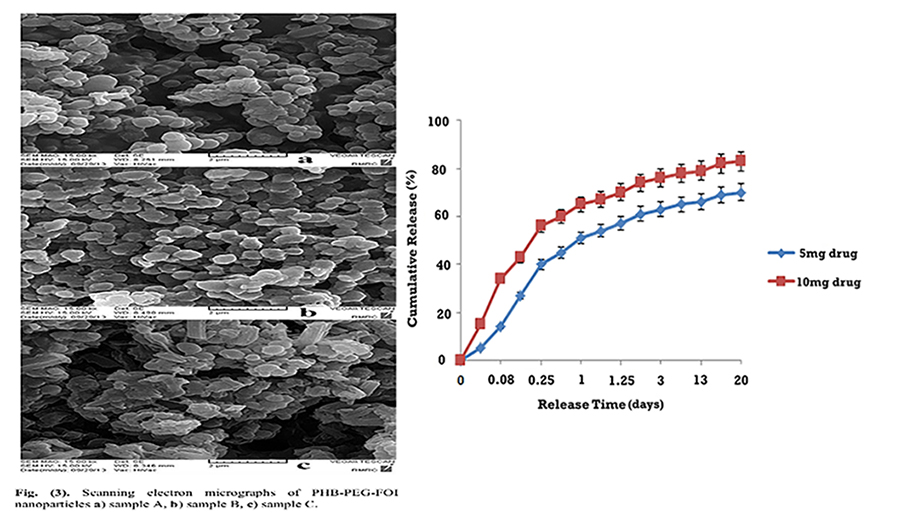 Fabrication of Poly Hydroxybutyrate-Polyethylene Glycol-Folic Acid Nanoparticles Loaded by Paclitaxel