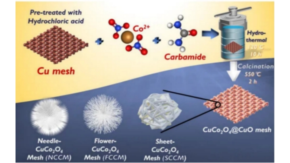 Modulating Direct Growth of Copper Cobaltite Nanostructure on Copper Mesh As a Hierarchical Catalyst of Oxone Activation for Efficient Elimination of Azo Toxicant