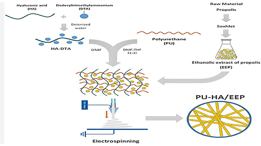 A Propolis Enriched Polyurethane-Hyaluronic Acid Nanofibrous Wound Dressing With Remarkable Antibacterial and Wound Healing Activities
