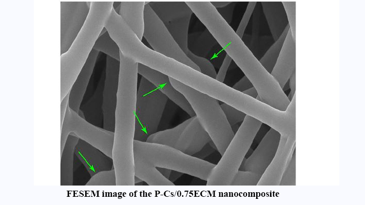 Evaluation of the Effects of Decellularized Extracellular Matrix Nanoparticles Incorporation on the Polyhydroxybutyrate/Nano Chitosan Electrospun Scaffold for Cartilage Tissue Engineering