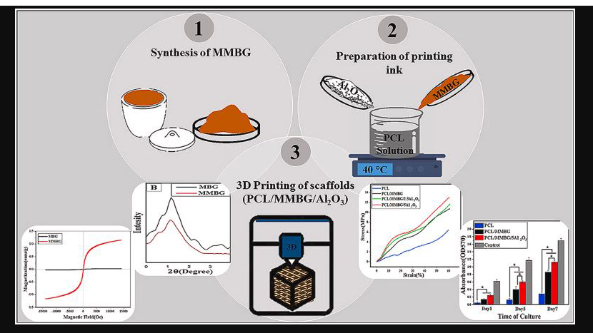 Evaluation of the Effects of Alumina Nanowire on 3D Printed Polycaprolactone / Magnetic Mesoporous Bioactive Glass Scaffold for Bone Tissue Engineering Applications