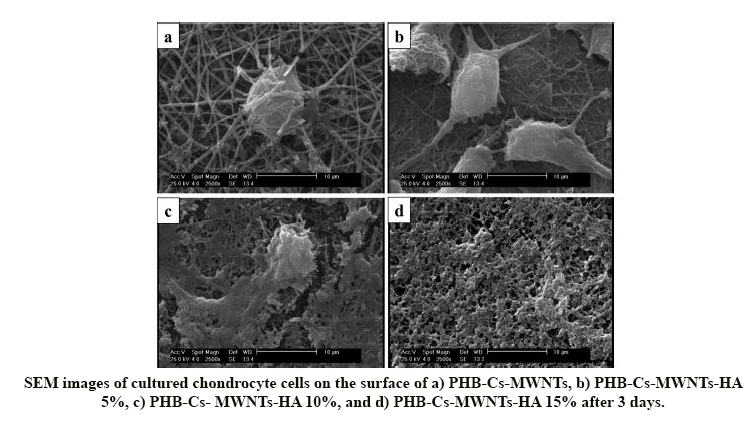 Biological Evaluation of the Effects of Hyaluronic Acid on Poly (3-Hydroxybutyrate) Based Electrospun Nanocomposite Scaffolds for Cartilage Tissue Engineering Application