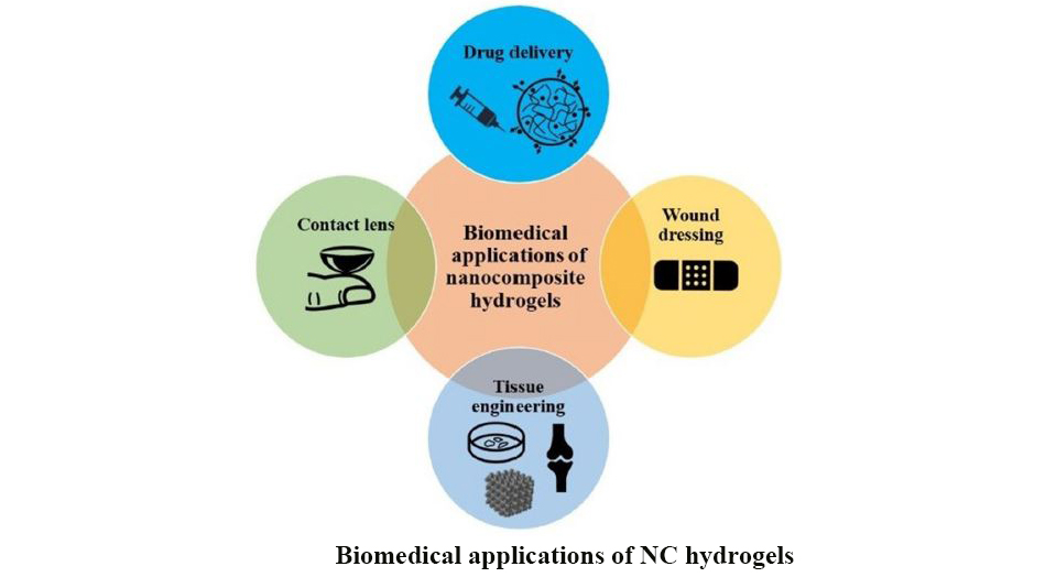 3-Dimensional Printing of Hydrogel-Based Nanocomposites: A Comprehensive Review on the Technology Description, Properties, and Applications