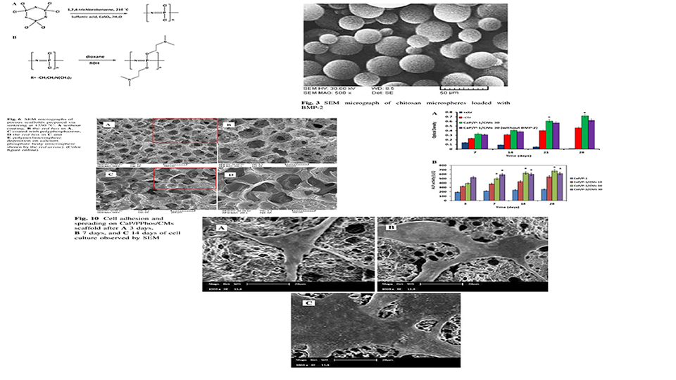 Fabrication and Characterization of Polyphosphazene/Calcium Phosphate Scaffolds Containing Chitosan Microspheres for Sustained Release of Bone Morphogenetic Protein 2 in Bone Tissue Engineering