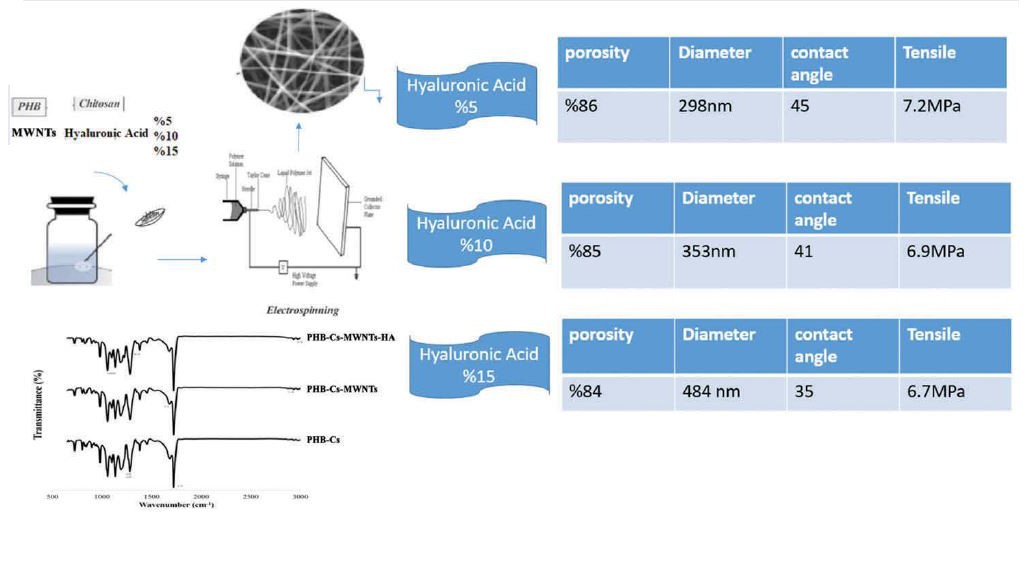 Evaluation of the Effects of Hyaluronic Acid on Poly (3-Hydroxybutyrate)/Chitosan/Carbon Nanotubes Electrospun Scaffold: Structure and Mechanical Properties