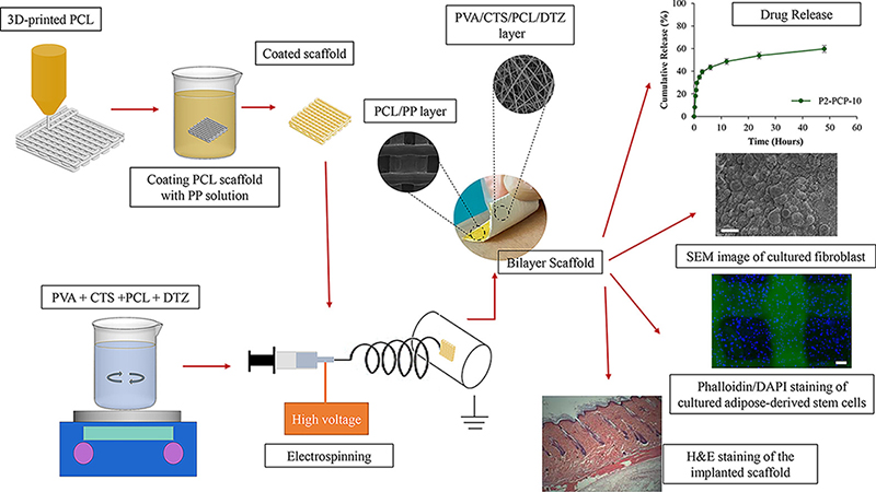 A Hybrid 3D-Printed and Electrospun Bilayer Pharmaceutical Membrane Based on Polycaprolactone/Chitosan/Polyvinyl Alcohol for Wound Healing Applications