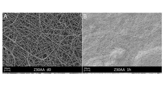 Synthetic-Based Blended Electrospun Scaffolds in Tissue Engineering Applications