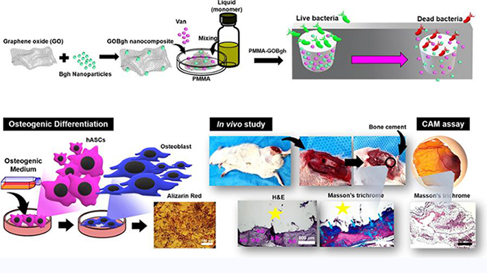 Graphene Oxide-Encapsulated Baghdadite Nanocomposite Improved Physical, Mechanical, and Biological Properties of a Vancomycin-Loaded Pmma Bone Cement