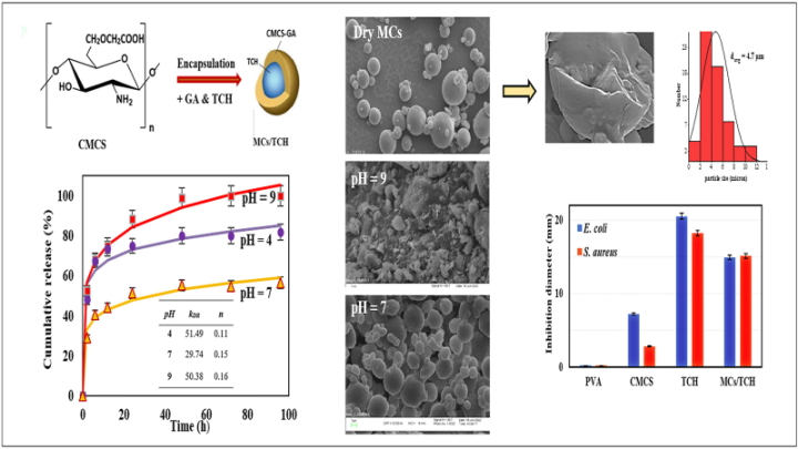 Synthesis of Ph-Responsive Carboxymethyl Chitosan for Encapsulating Tetracycline-Hcl: Morphology, Drug Release Behavior and Antibacterial Activity of Microcapsules