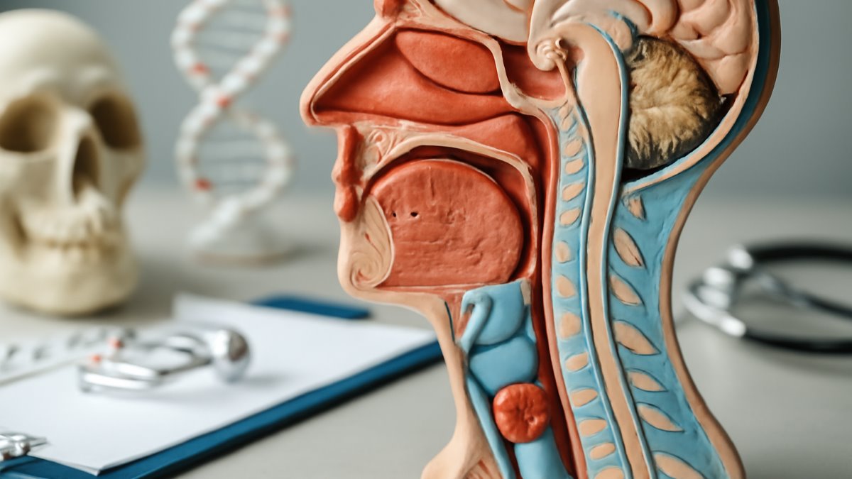 Comparison of Success Rate and Safety of Nasotracheal Intubation by Conventional and Finger-Guided Method in Patients Undergoing Maxillofacial Surgery