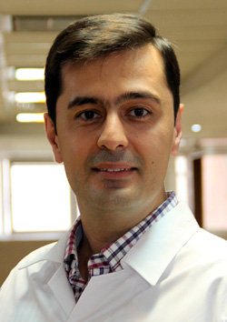 Seyed Amir Mahlisha Kazemi Shishvan
