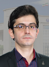 Erfan Amini