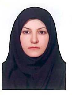 Seyede Nargess Sadati Lamardi