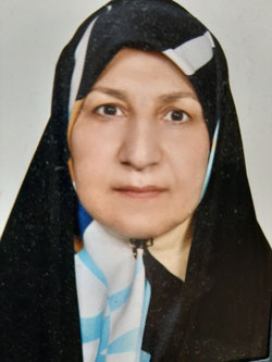 Seyede Tahereh Mirmolaei