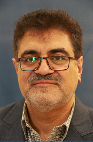 Seyed Hadi Samimi Ardestani