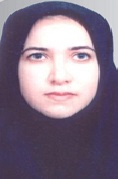 Seyed Zahra Badrkhahan